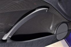 PANELES DE PUERTA EN CARBONO BMW E46 COUPÉ (kit de 2 delanteros)